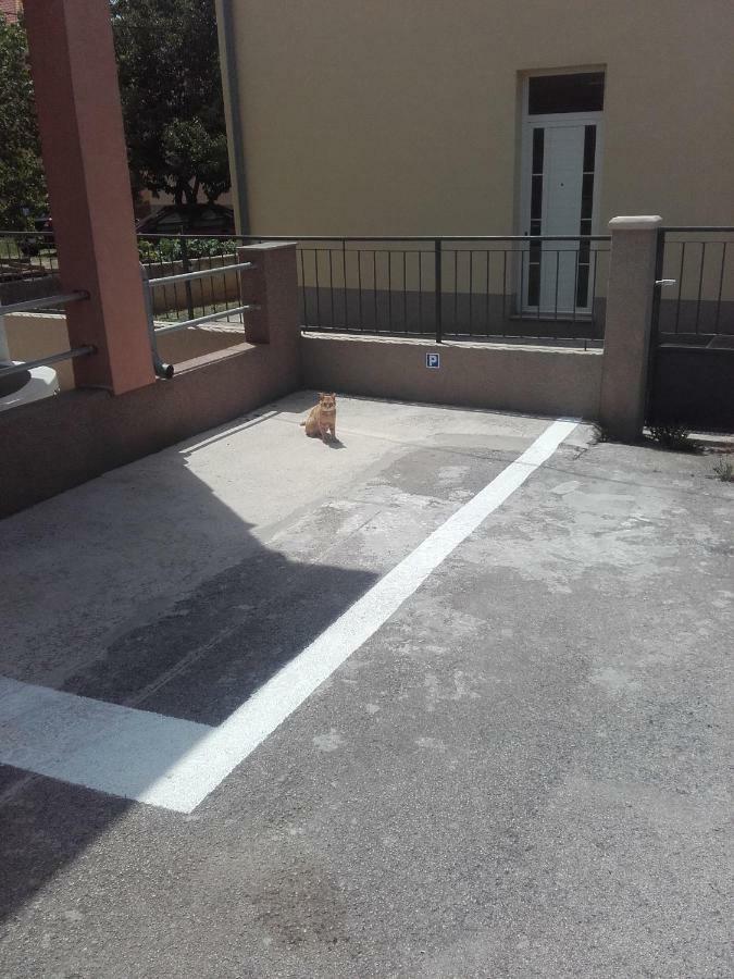 Apartament Maremy Zadar Zewnętrze zdjęcie